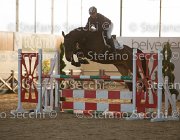 Dahila della Verdina TosTour2013- S5 3101 : Arezzo, Arezzo Equestrian Centre, Cavalli d'Italia, Dahila della Verdina, Toscana Tour 2013, foto di Stefano Secchi ©